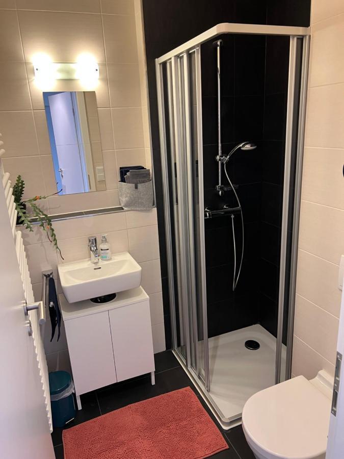 Apartment Penthouse-wohnung - Balkon - Dachterrasse - Zentrum *